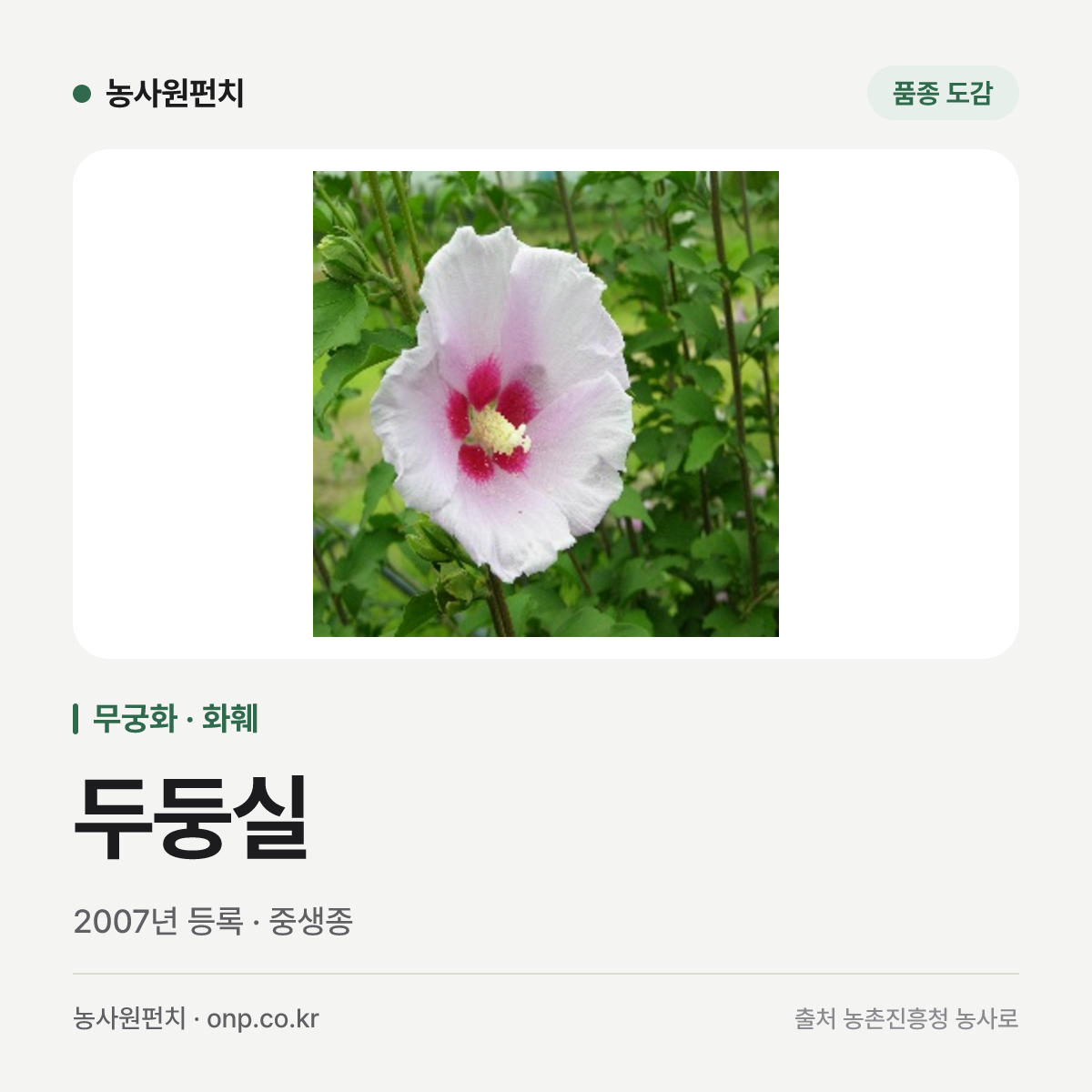 두둥실