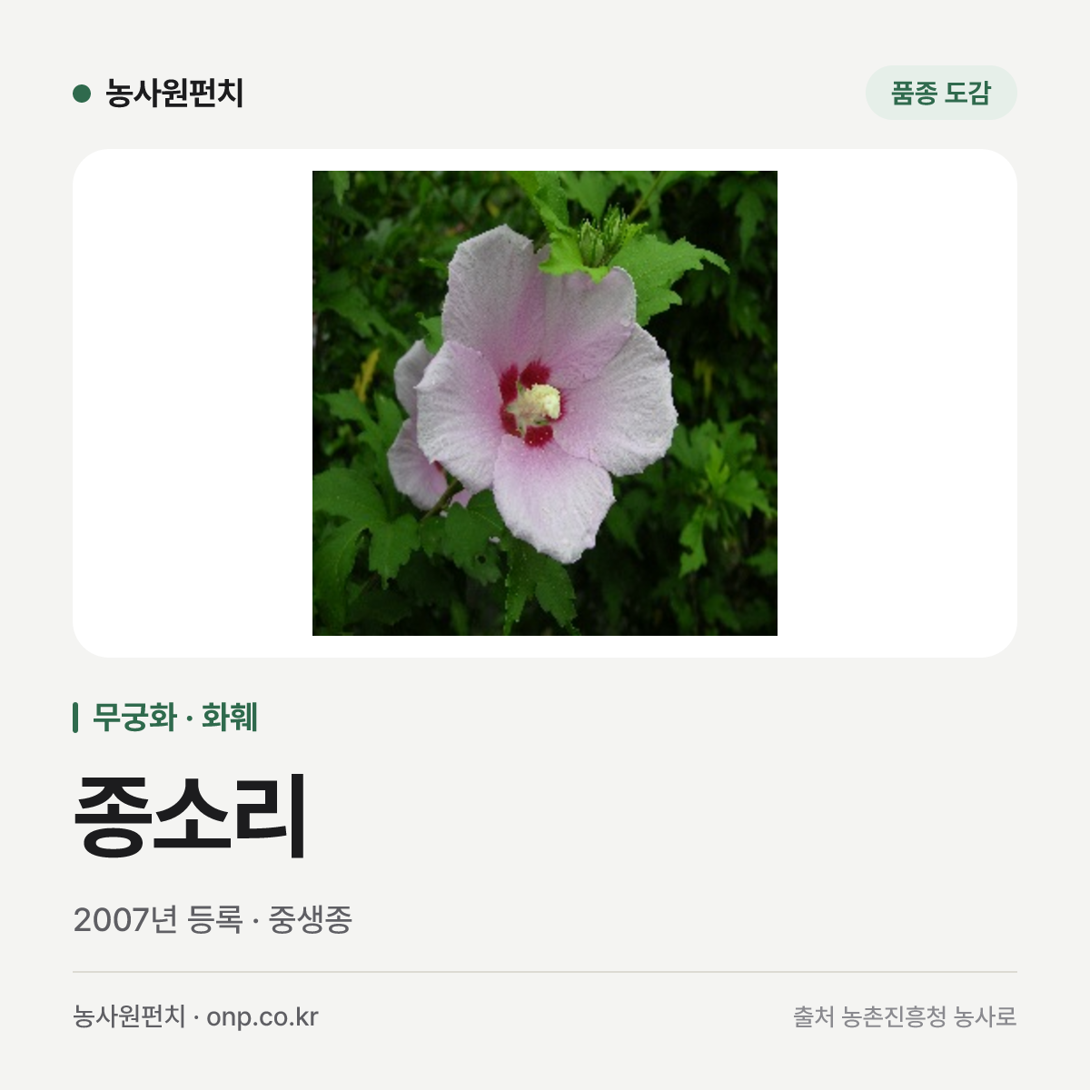 종소리