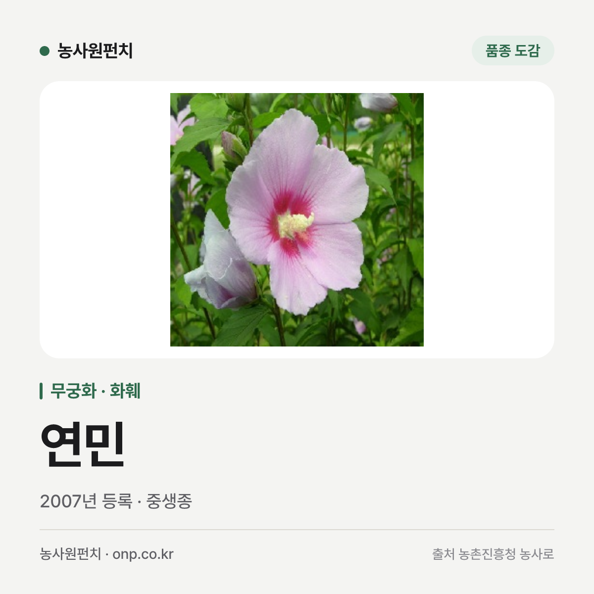 연민