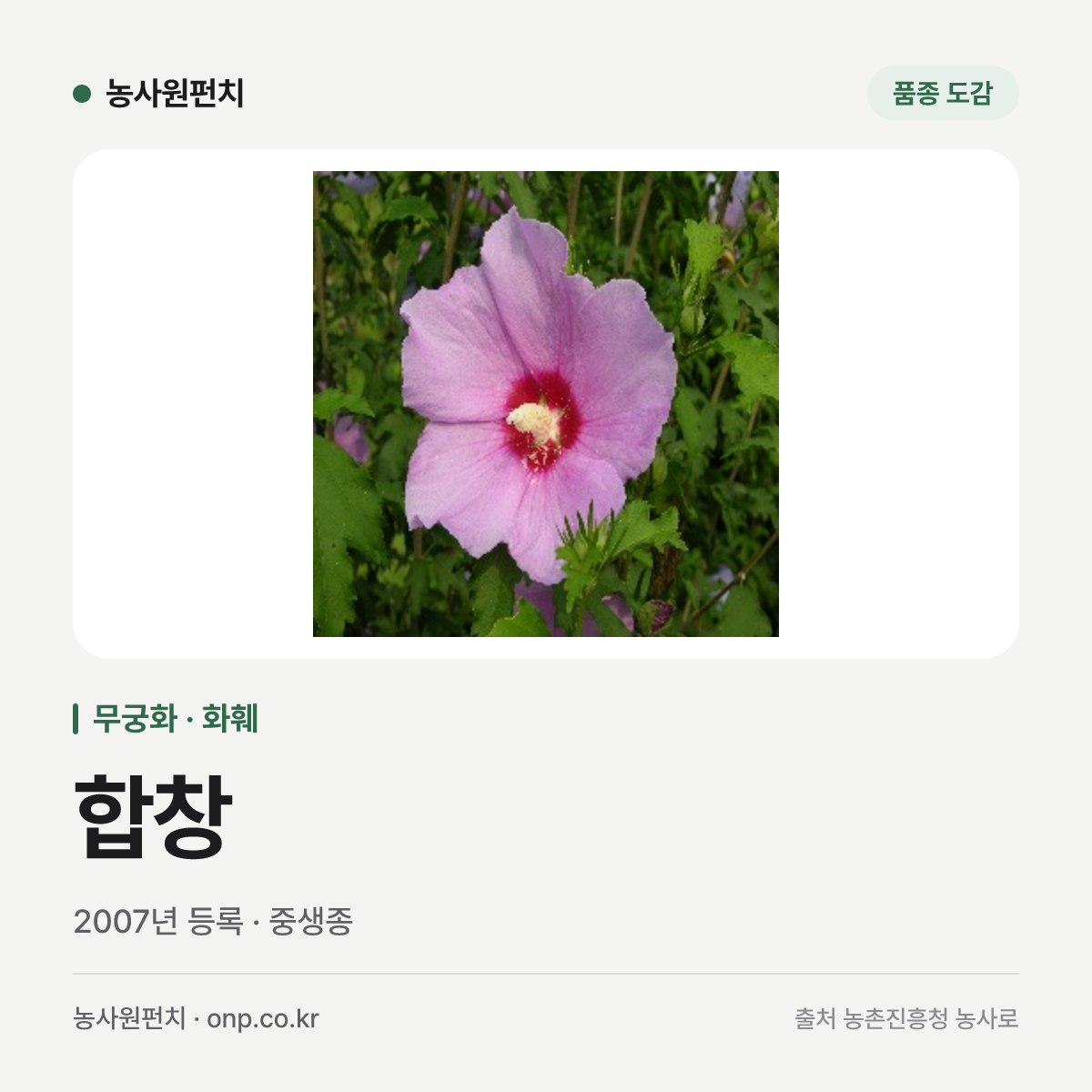 합창