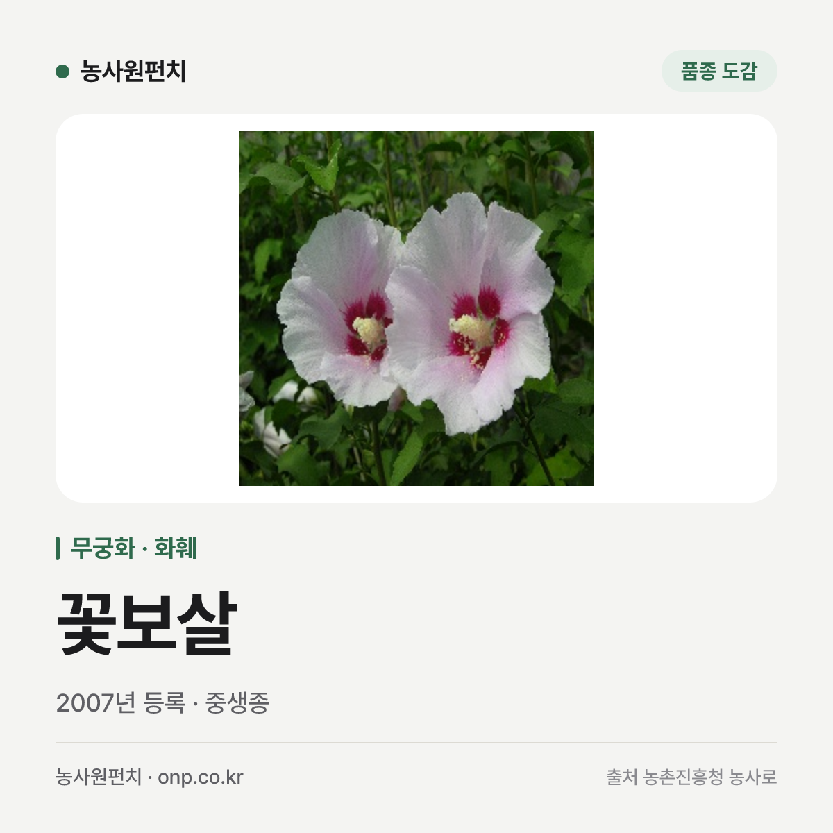 꽃보살