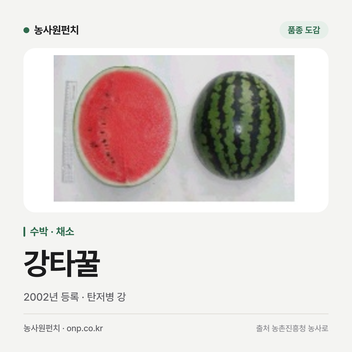 강타꿀