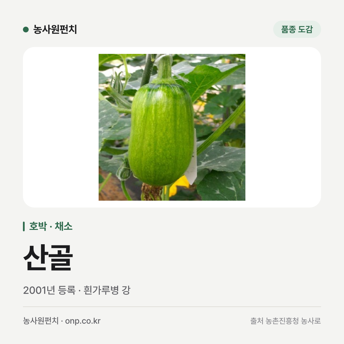 산골