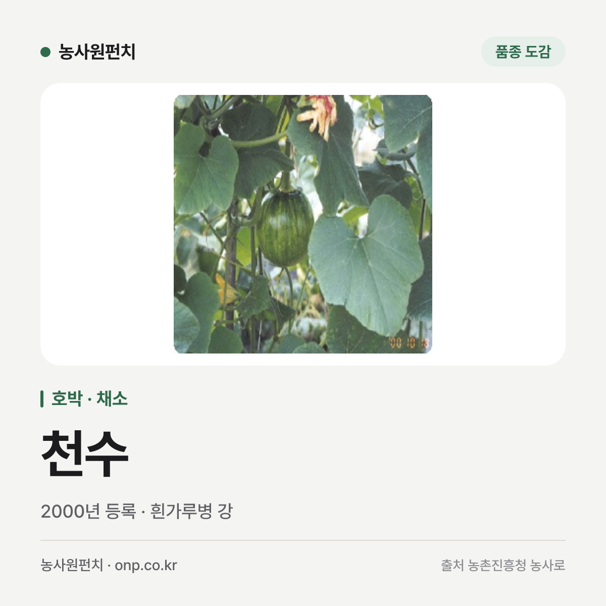 천수