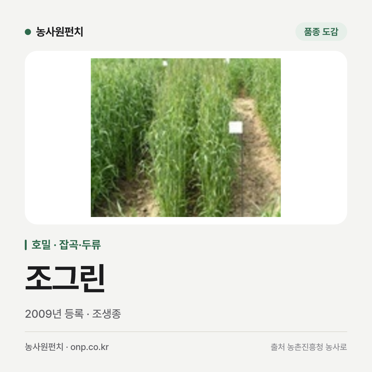 조그린
