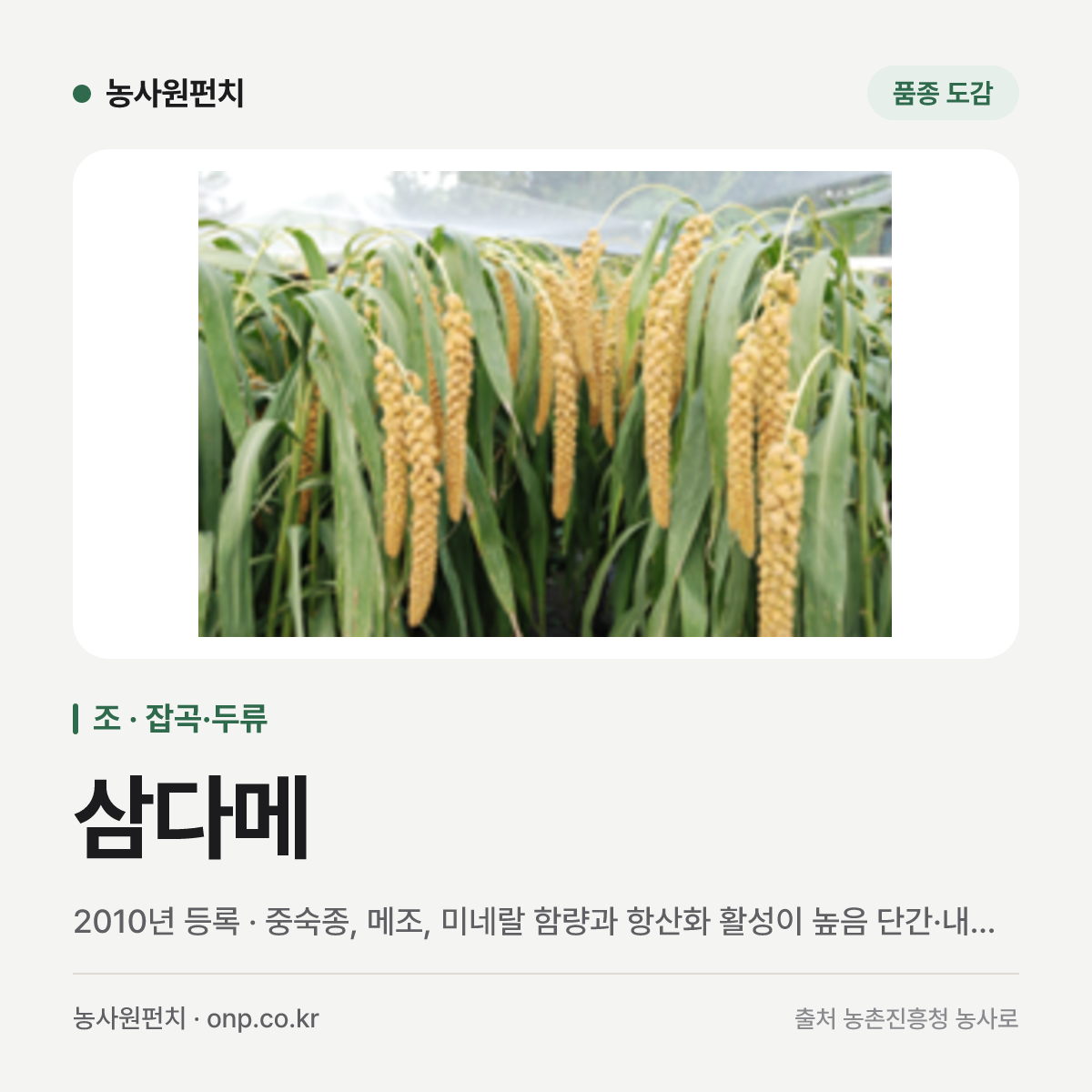 삼다메