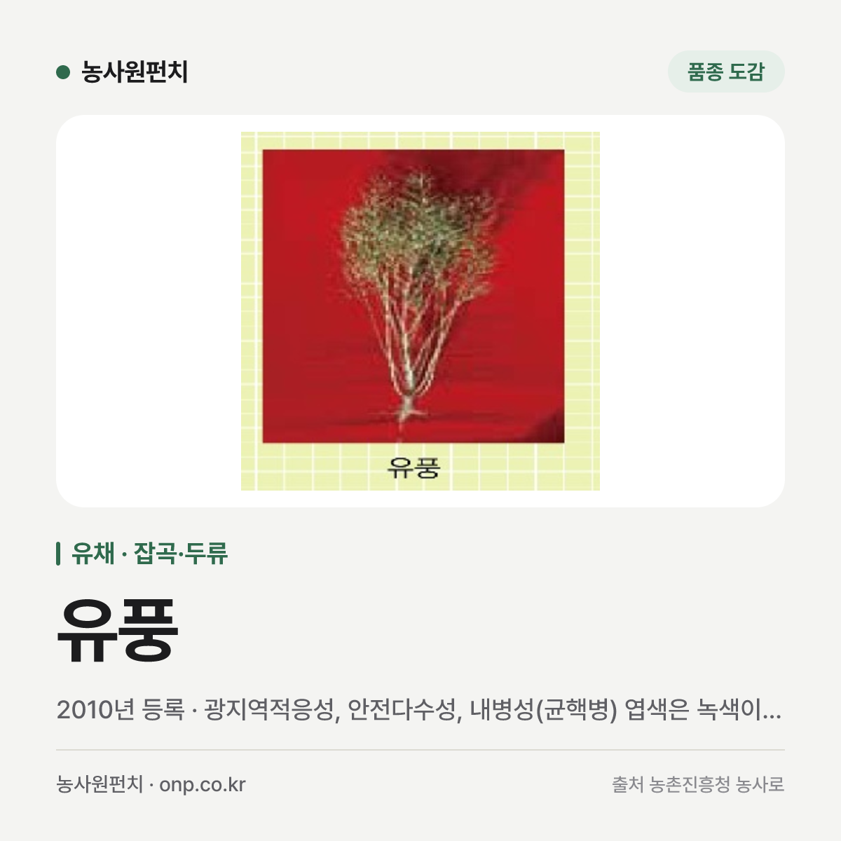 유풍