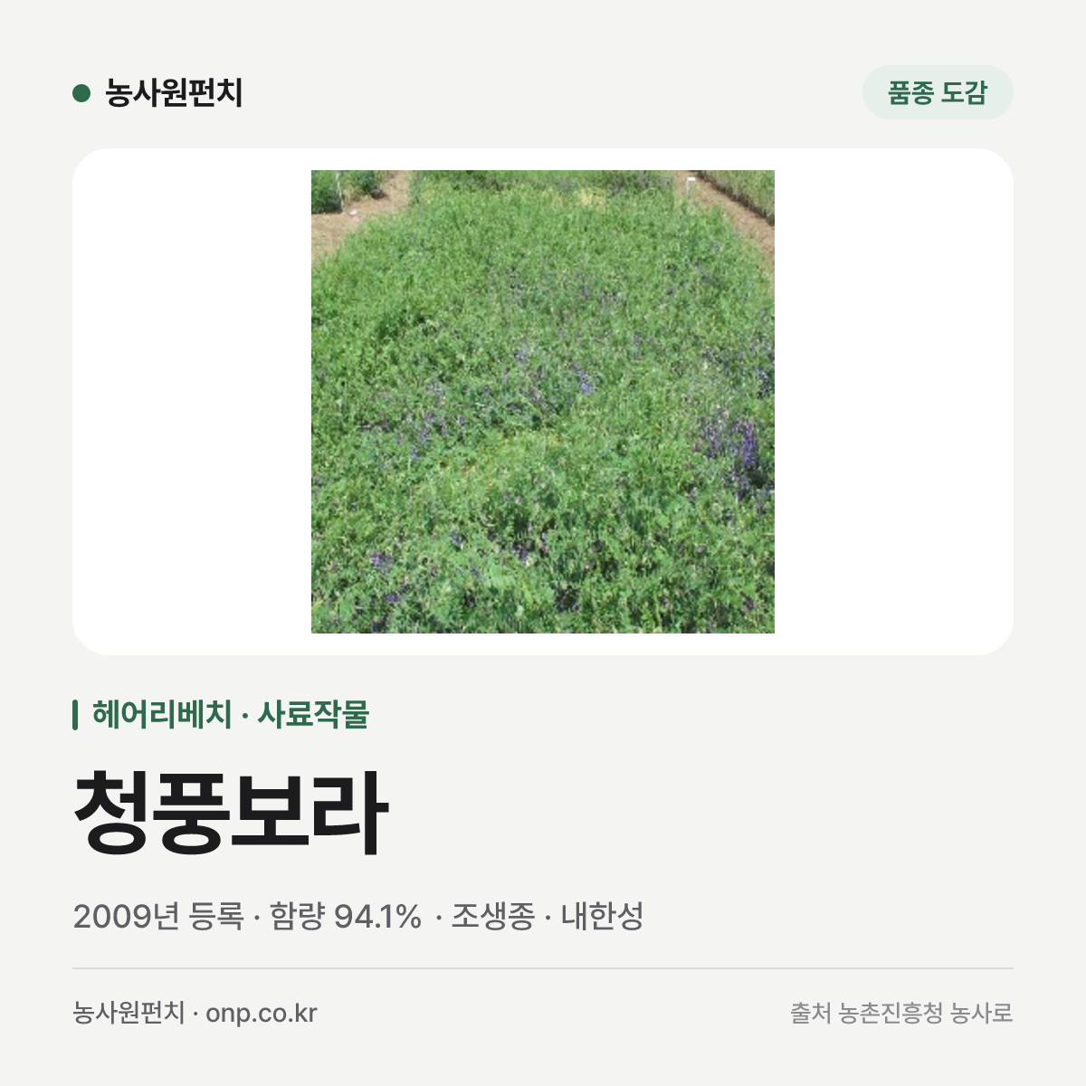 청풍보라