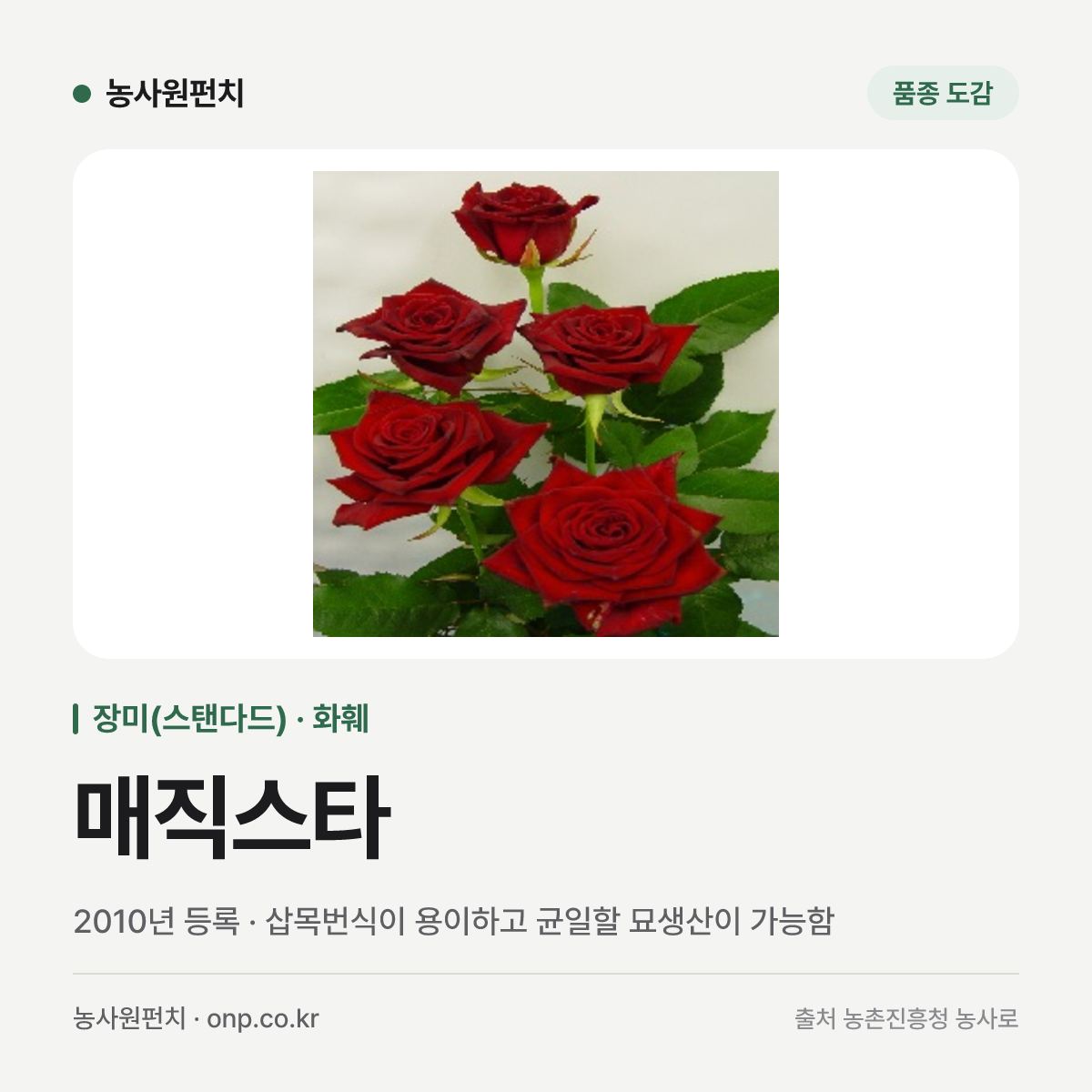 매직스타