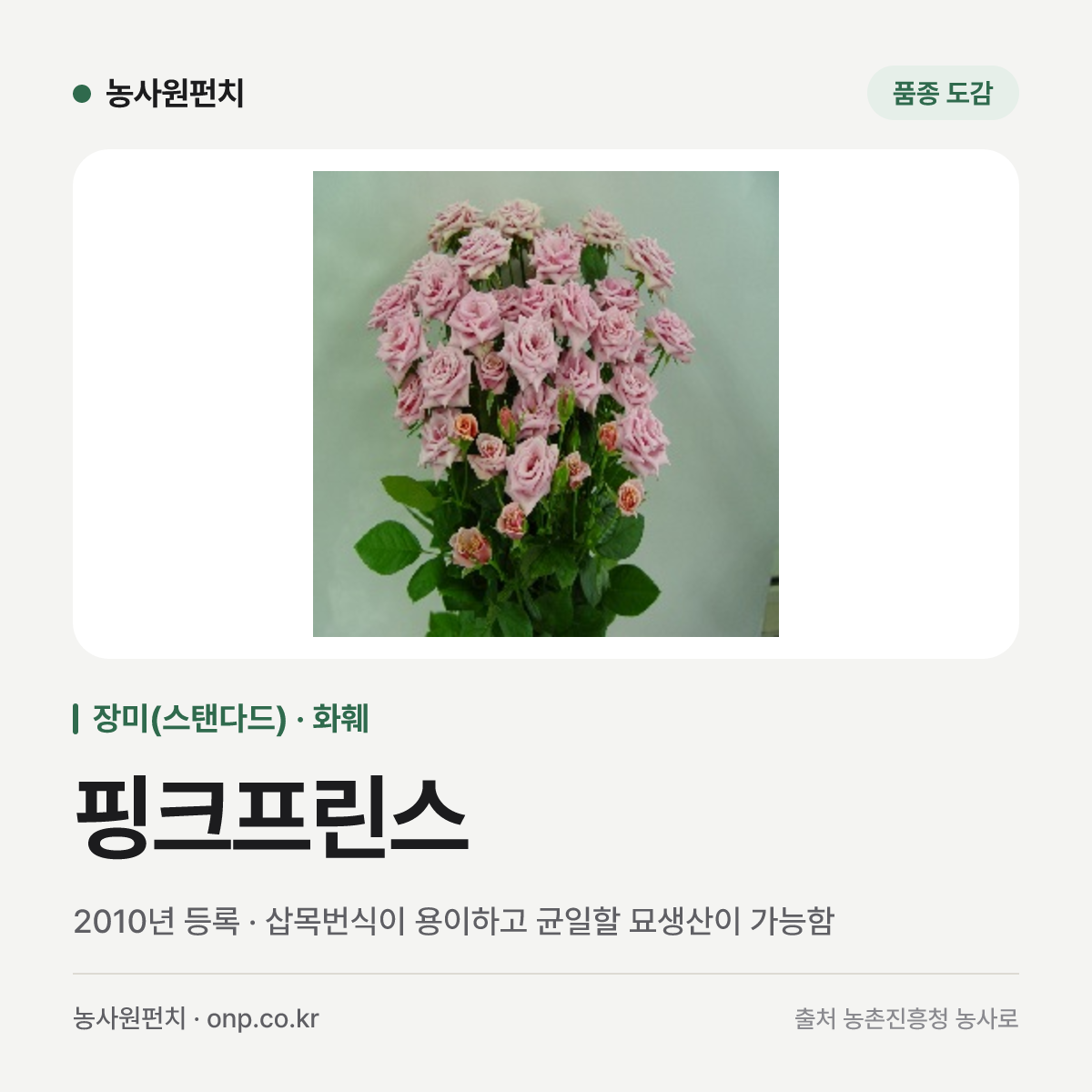 핑크프린스