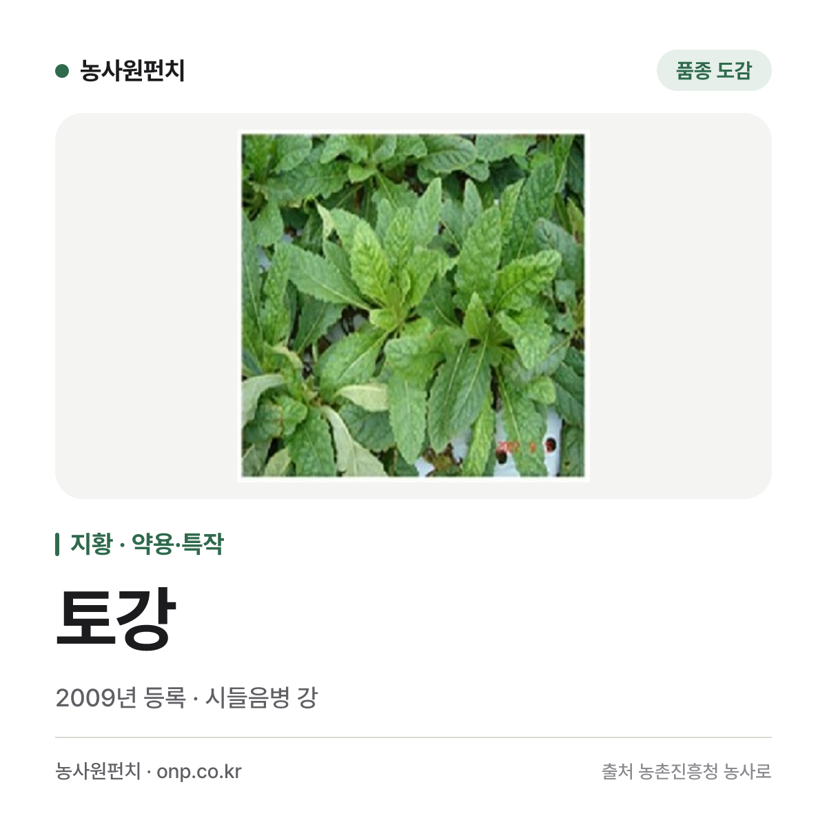토강