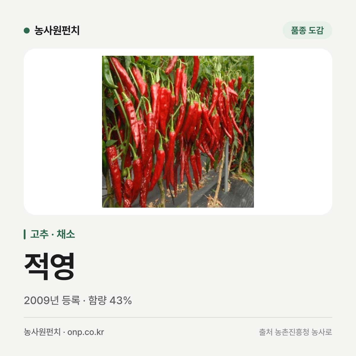 적영