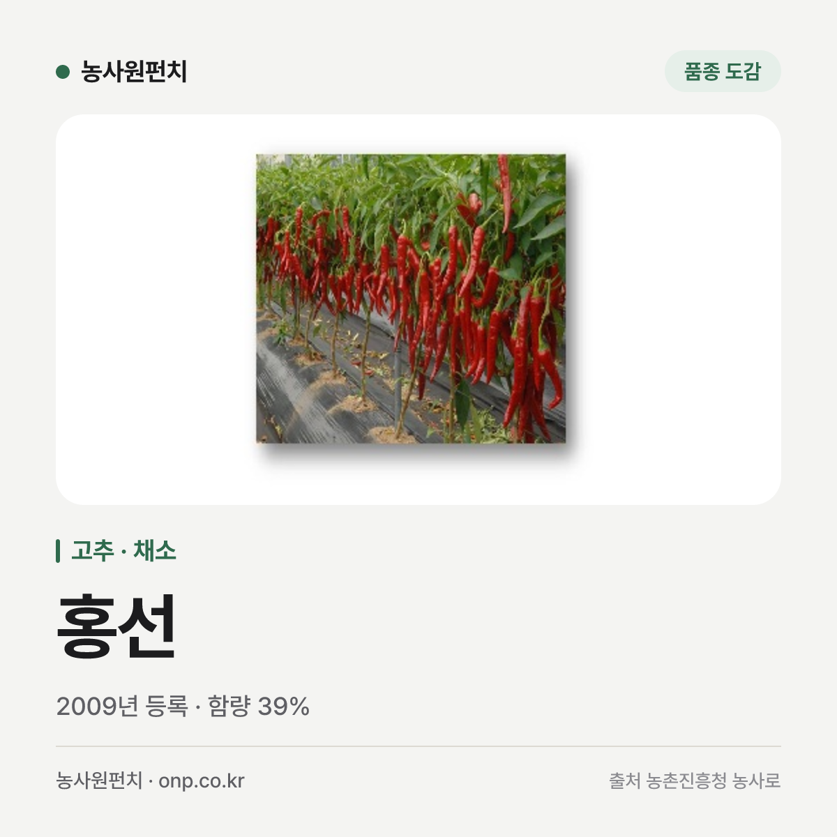 홍선
