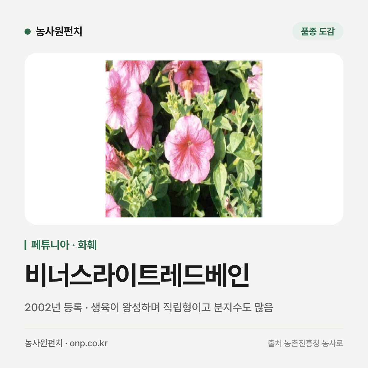 비너스라이트레드베인