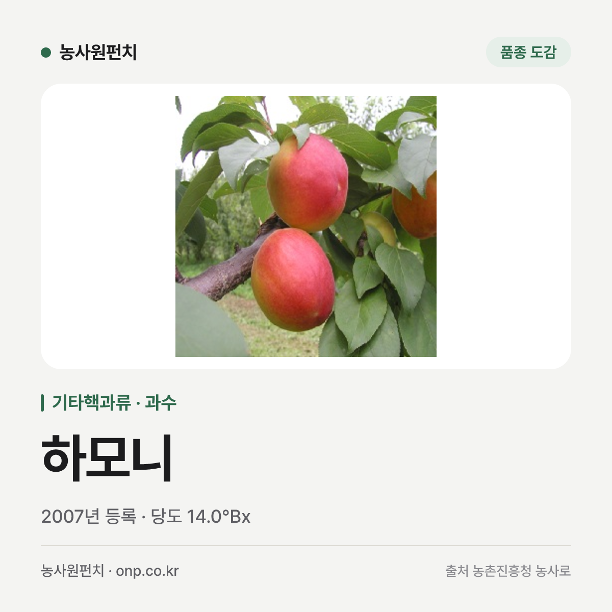 하모니