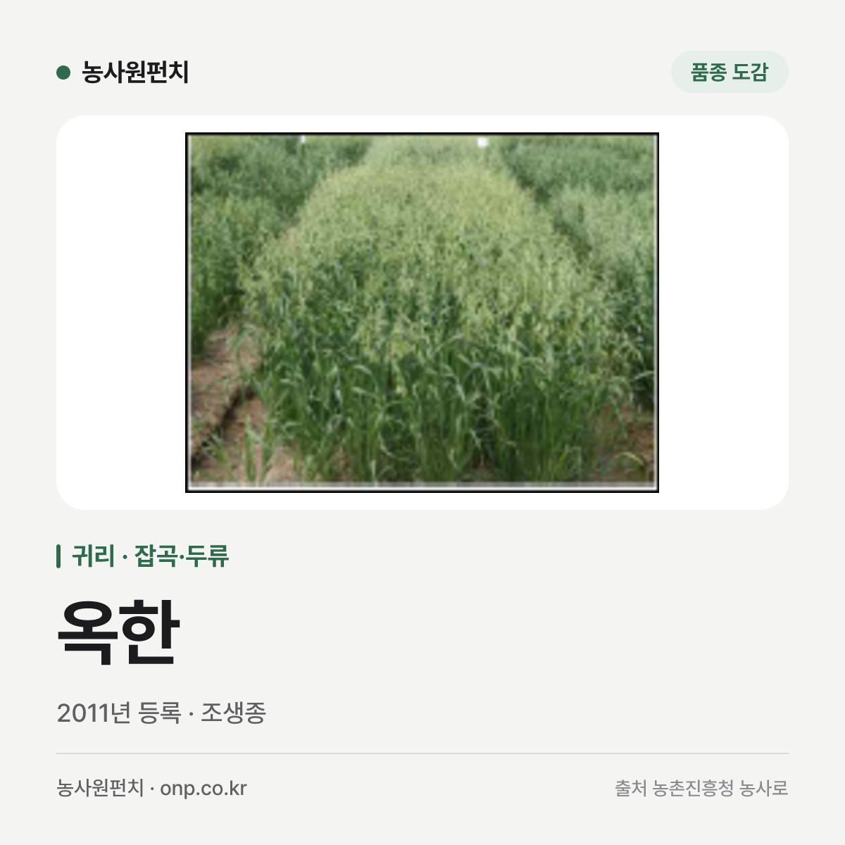 옥한