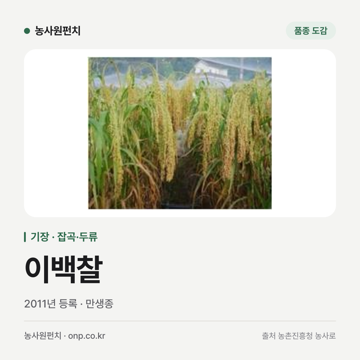 이백찰