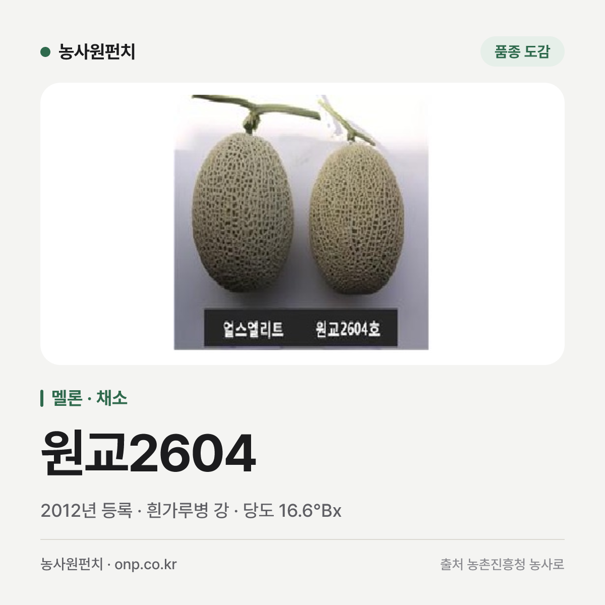 원교2604