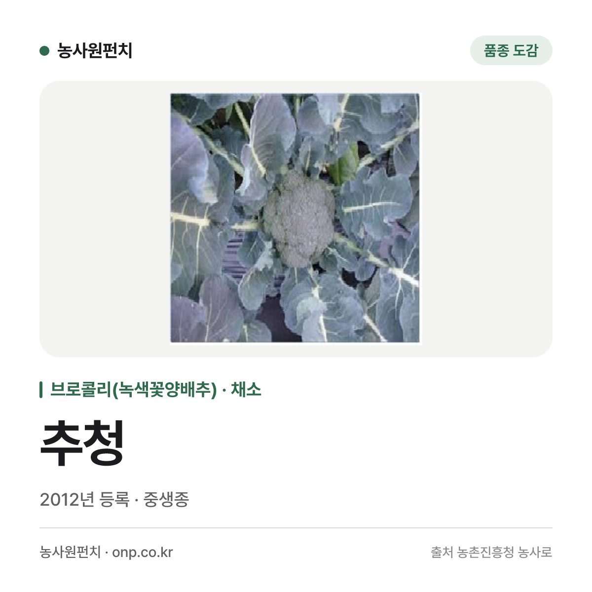 추청