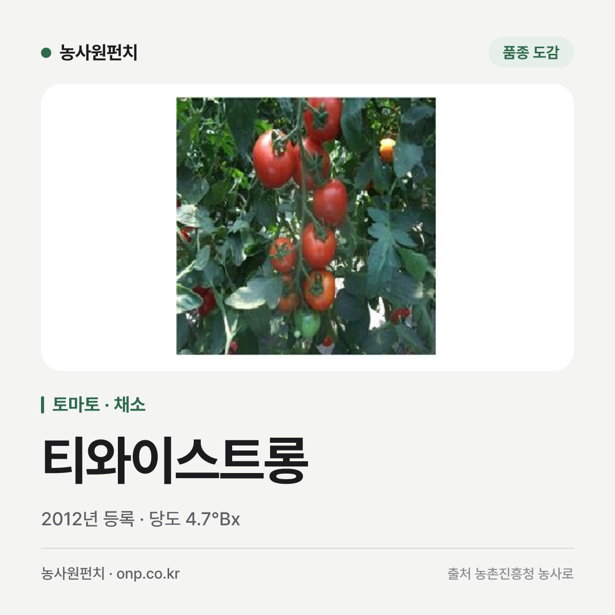 티와이스트롱
