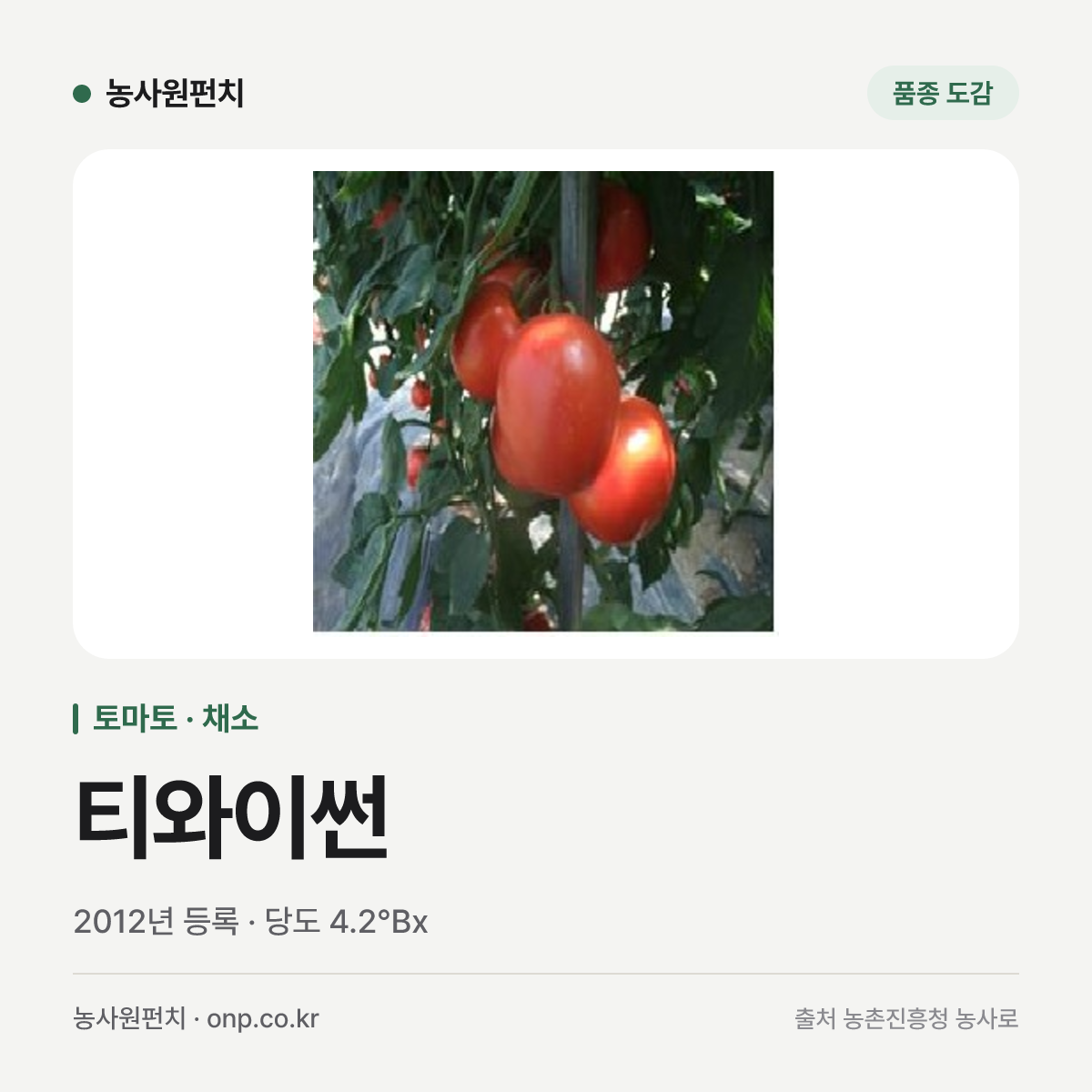 티와이썬