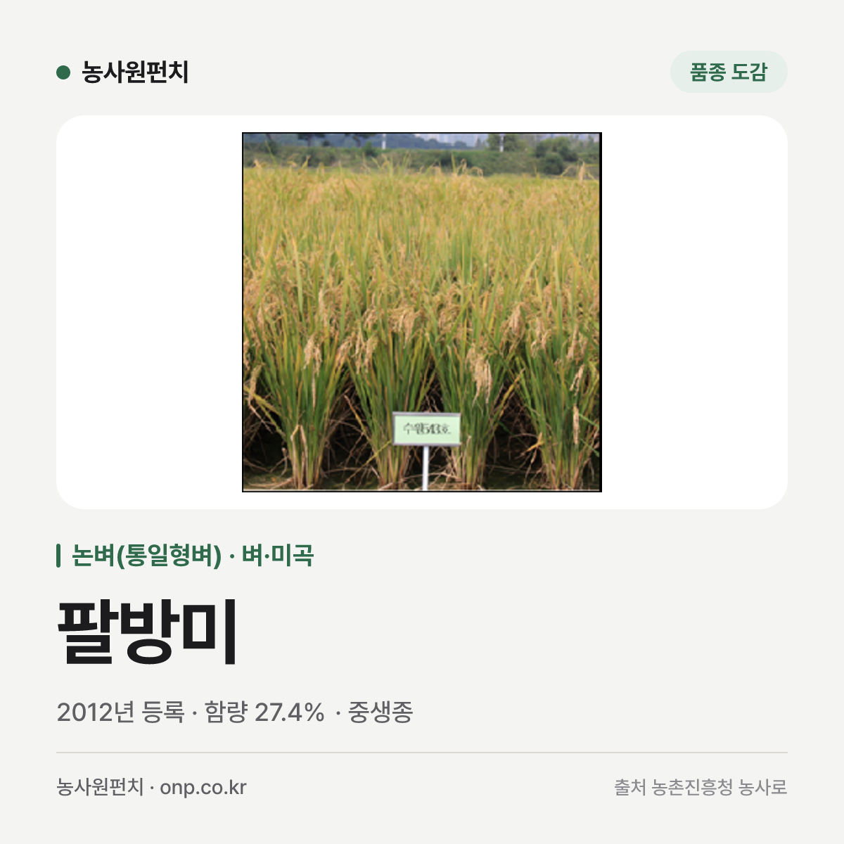 팔방미