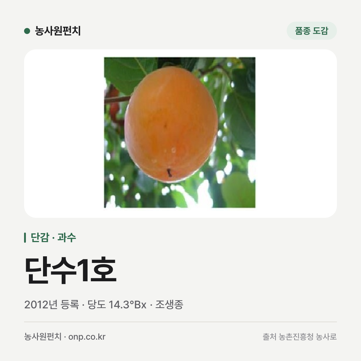 단수1호