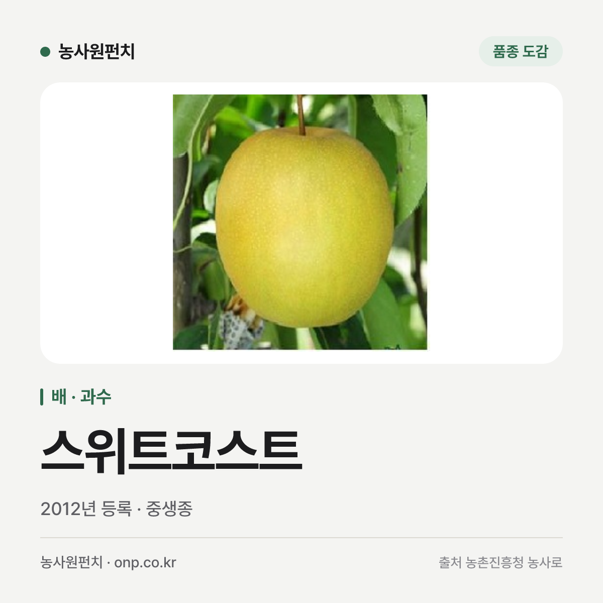 스위트코스트