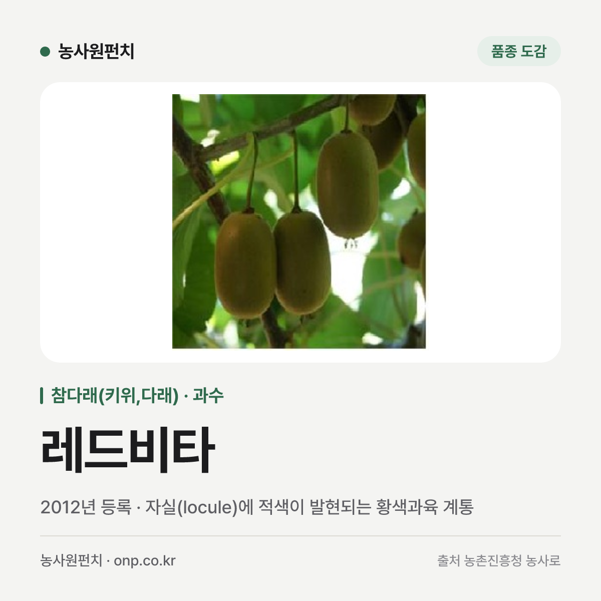 레드비타