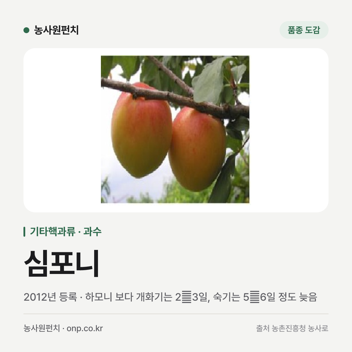심포니