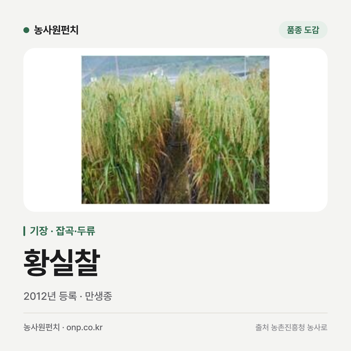 황실찰