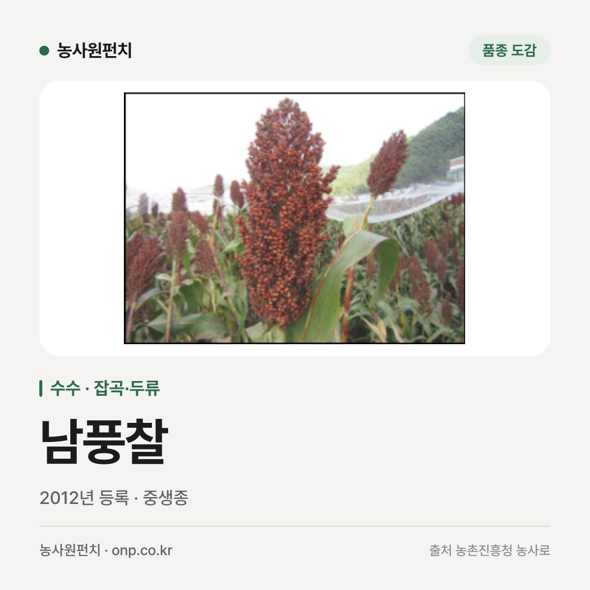 남풍찰