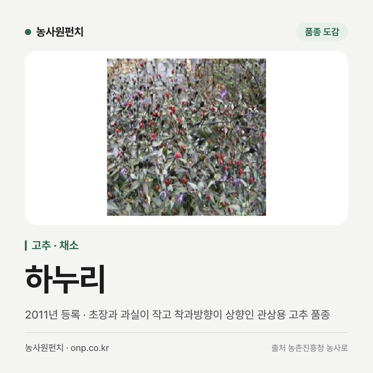 하누리