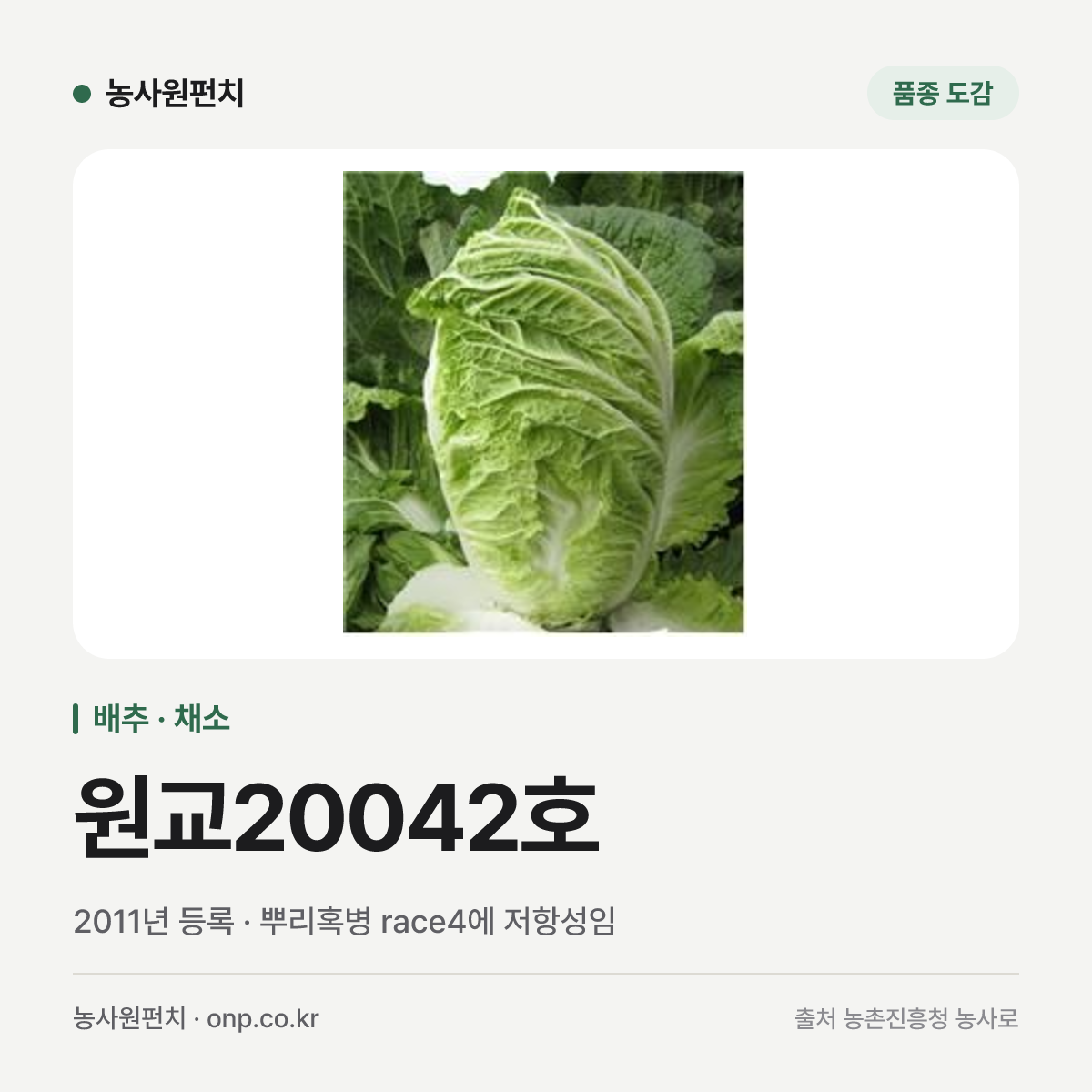 원교20042호