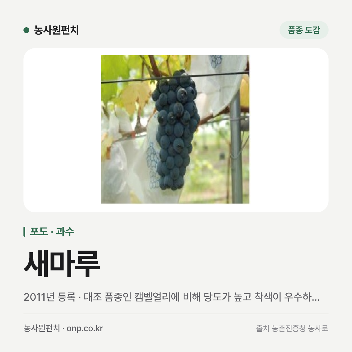 새마루