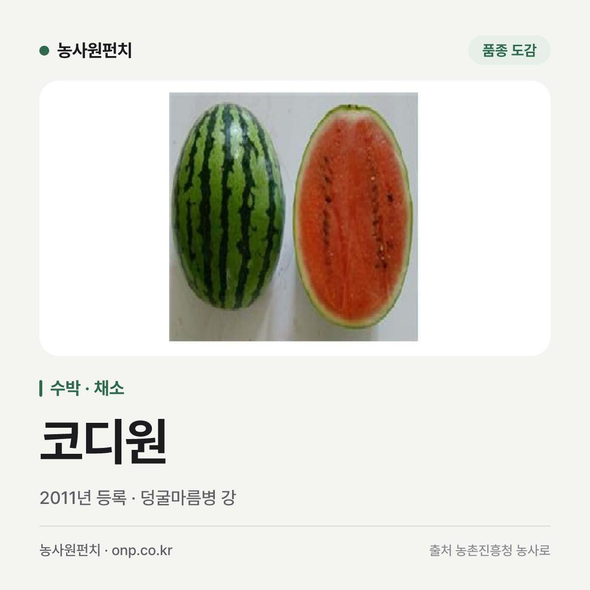 코디원