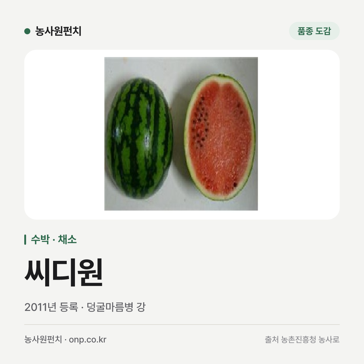 씨디원