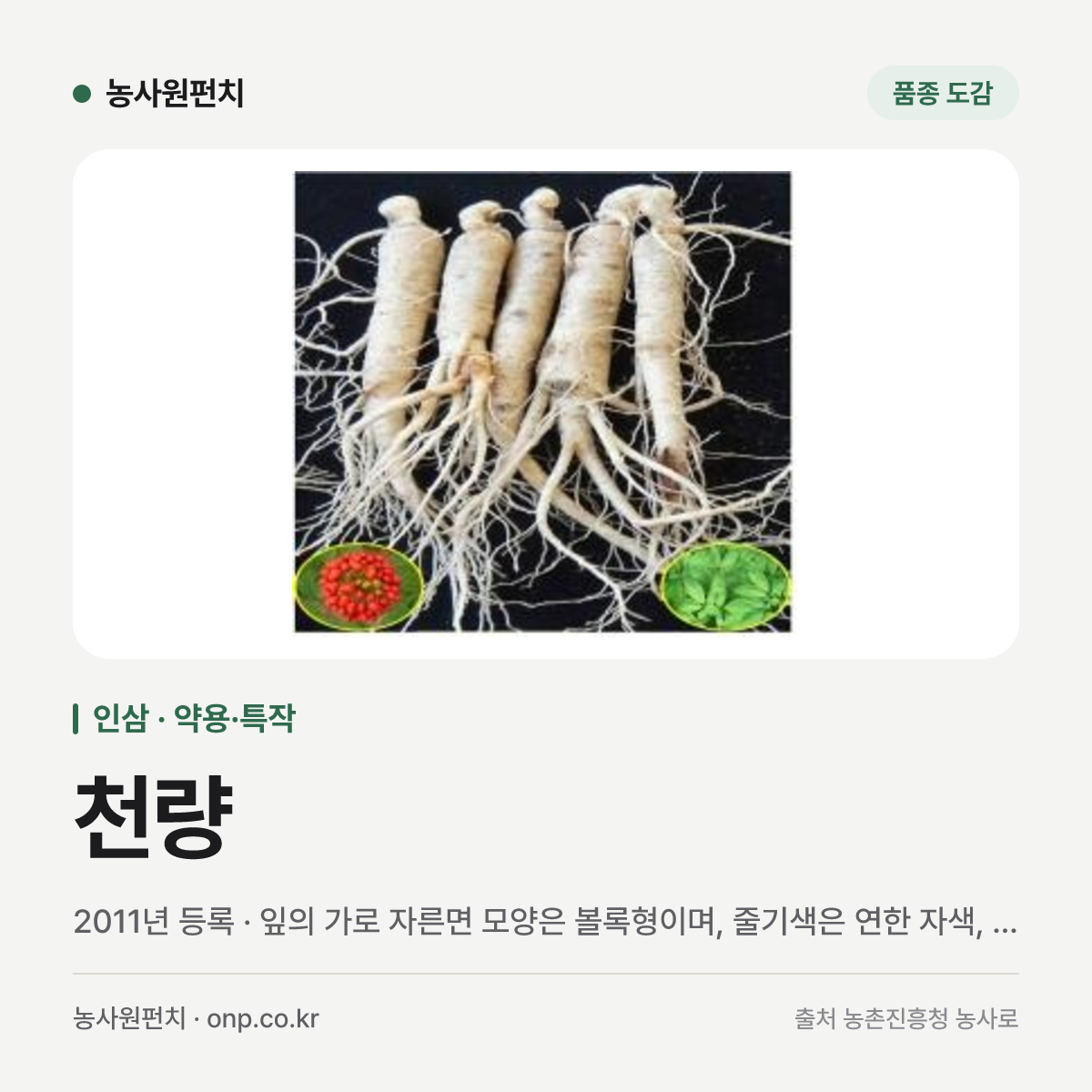 천량