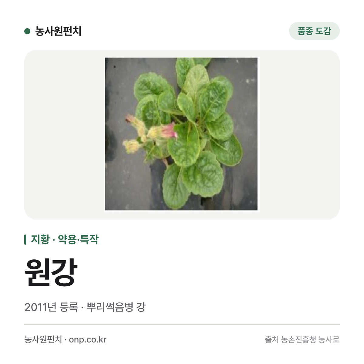 원강