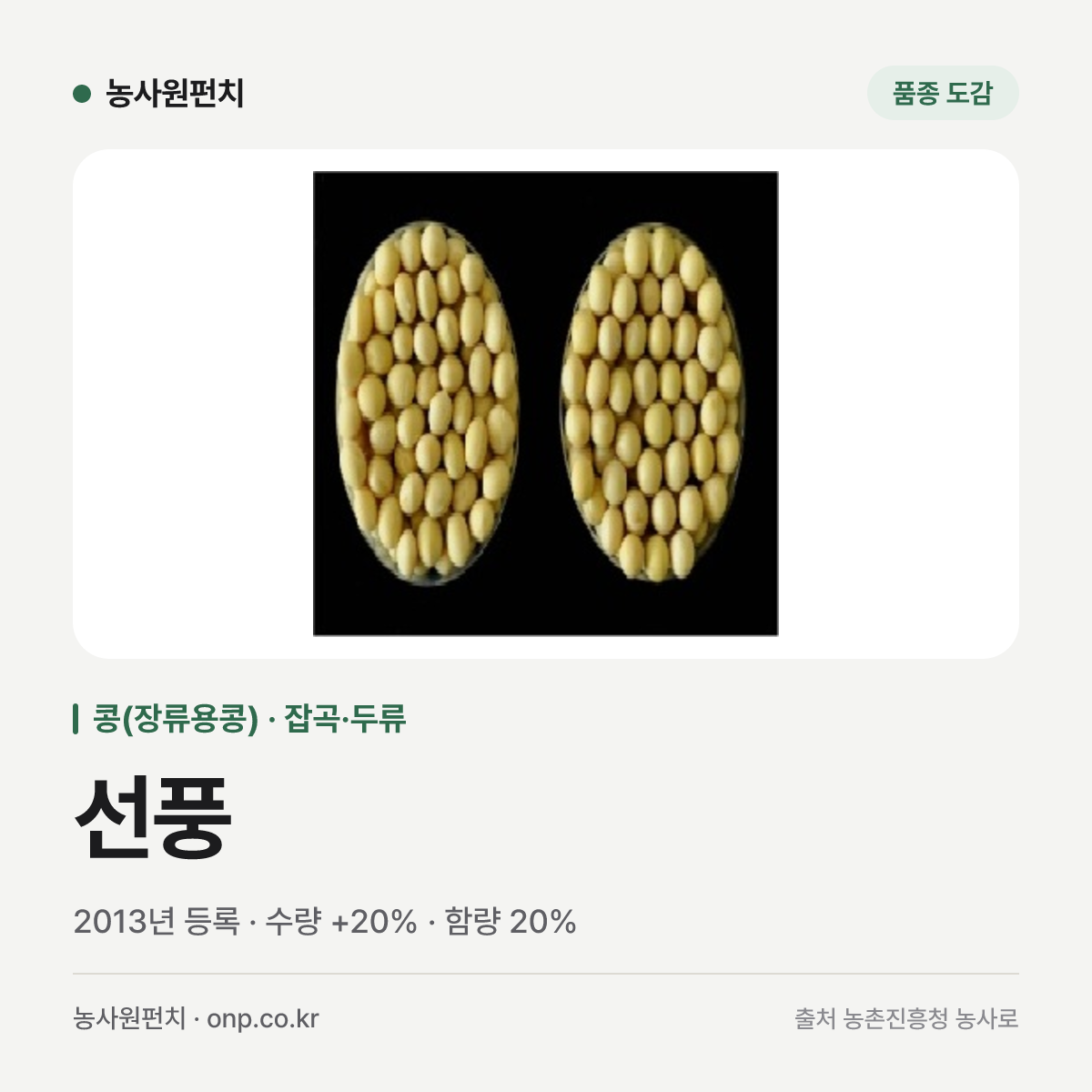 선풍