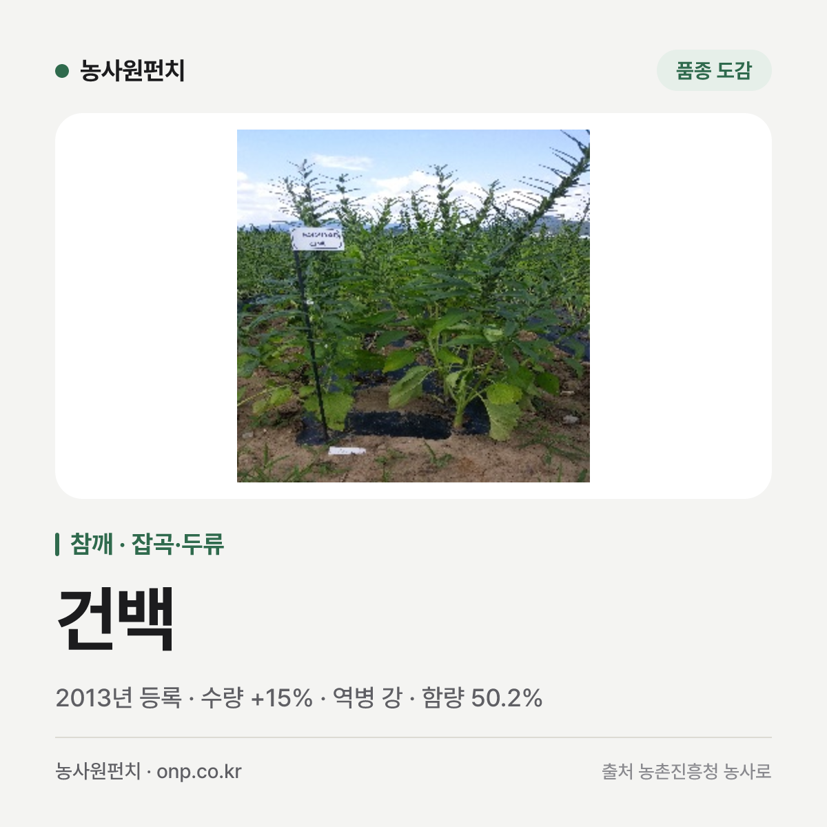 건백