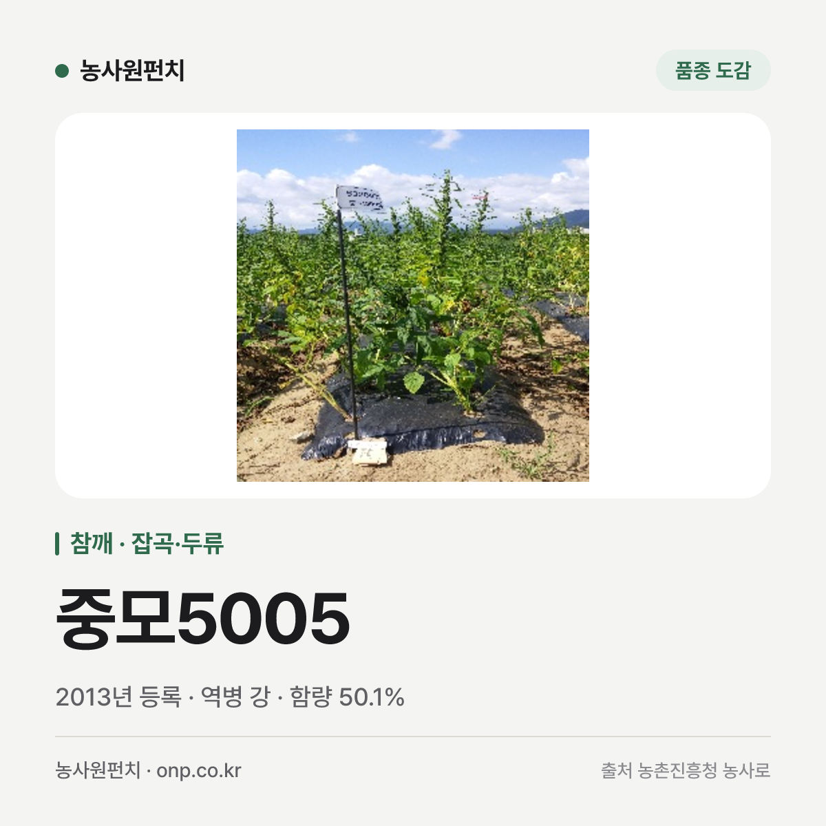중모5005
