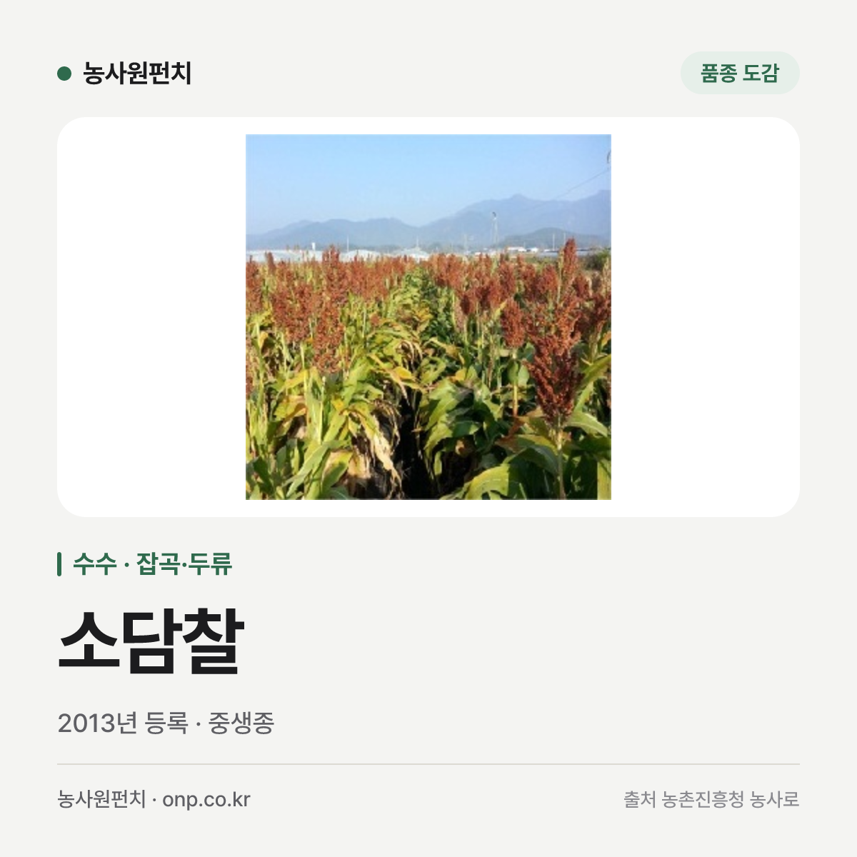 소담찰