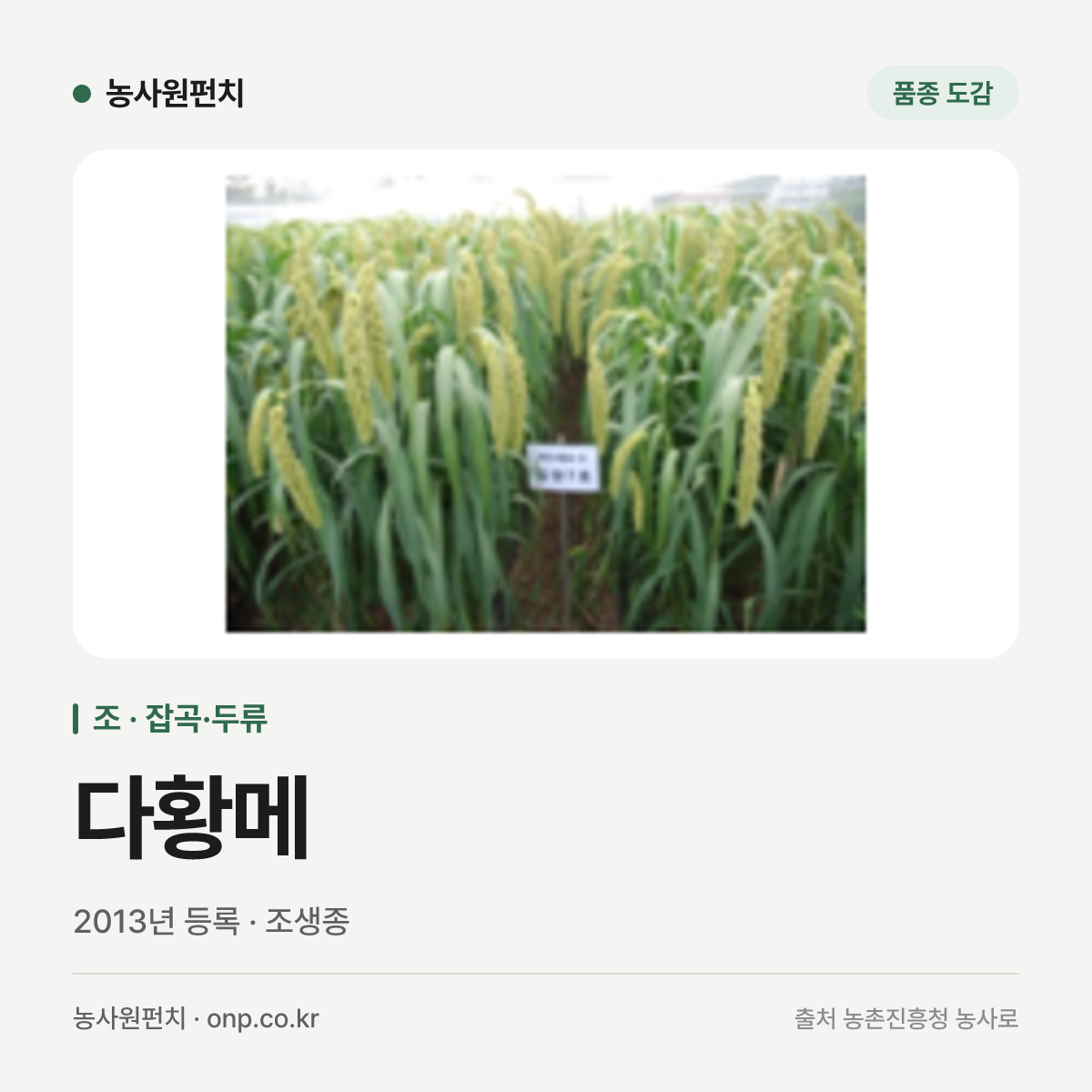 다황메