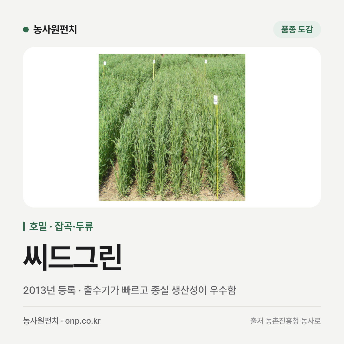 씨드그린