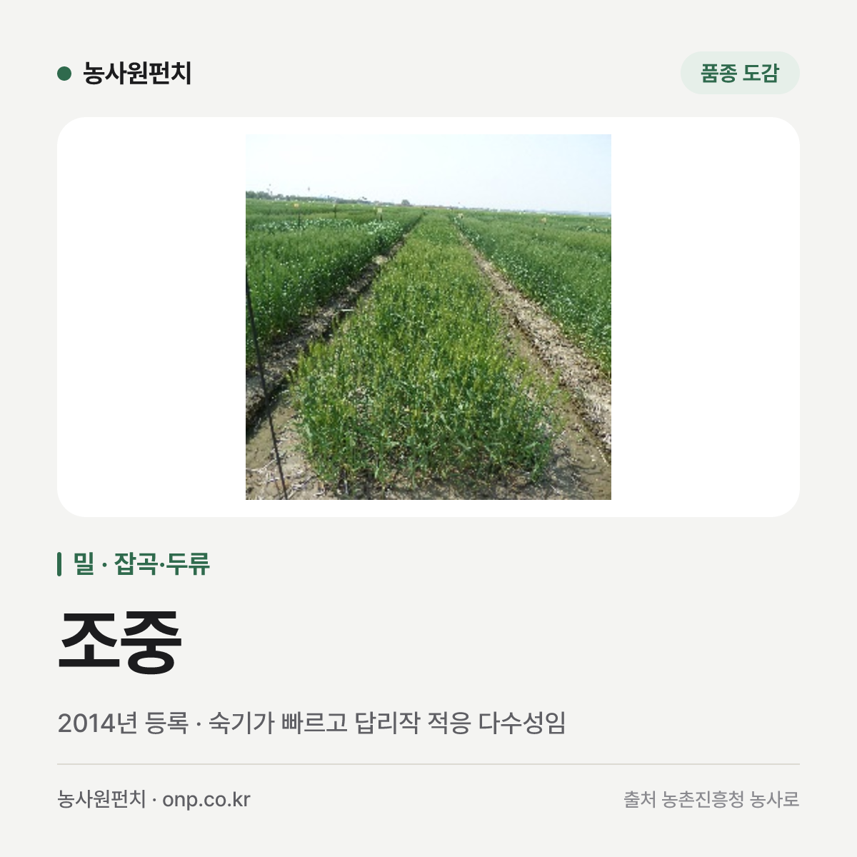 조중