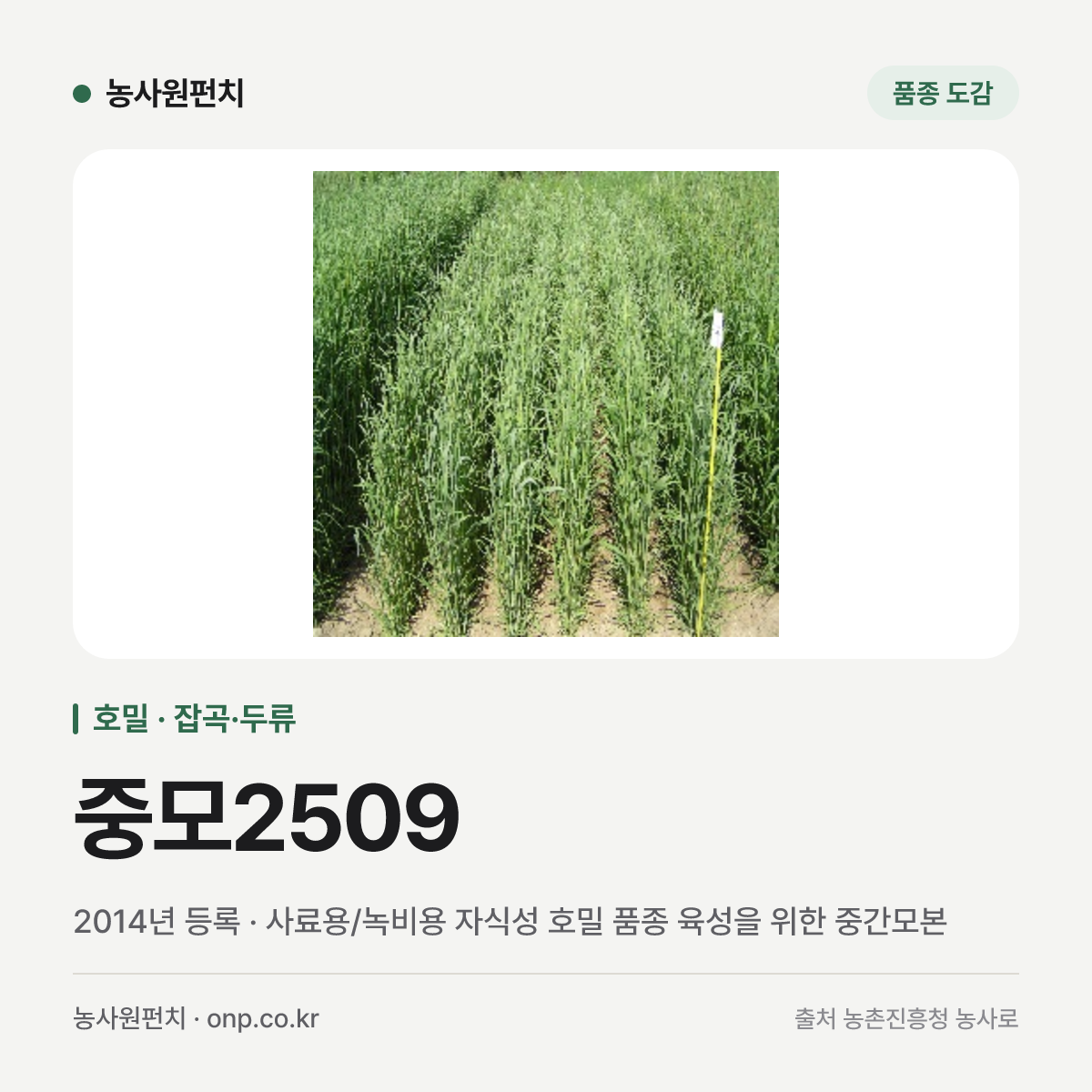 중모2509