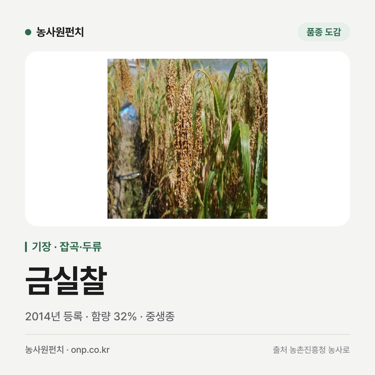 금실찰
