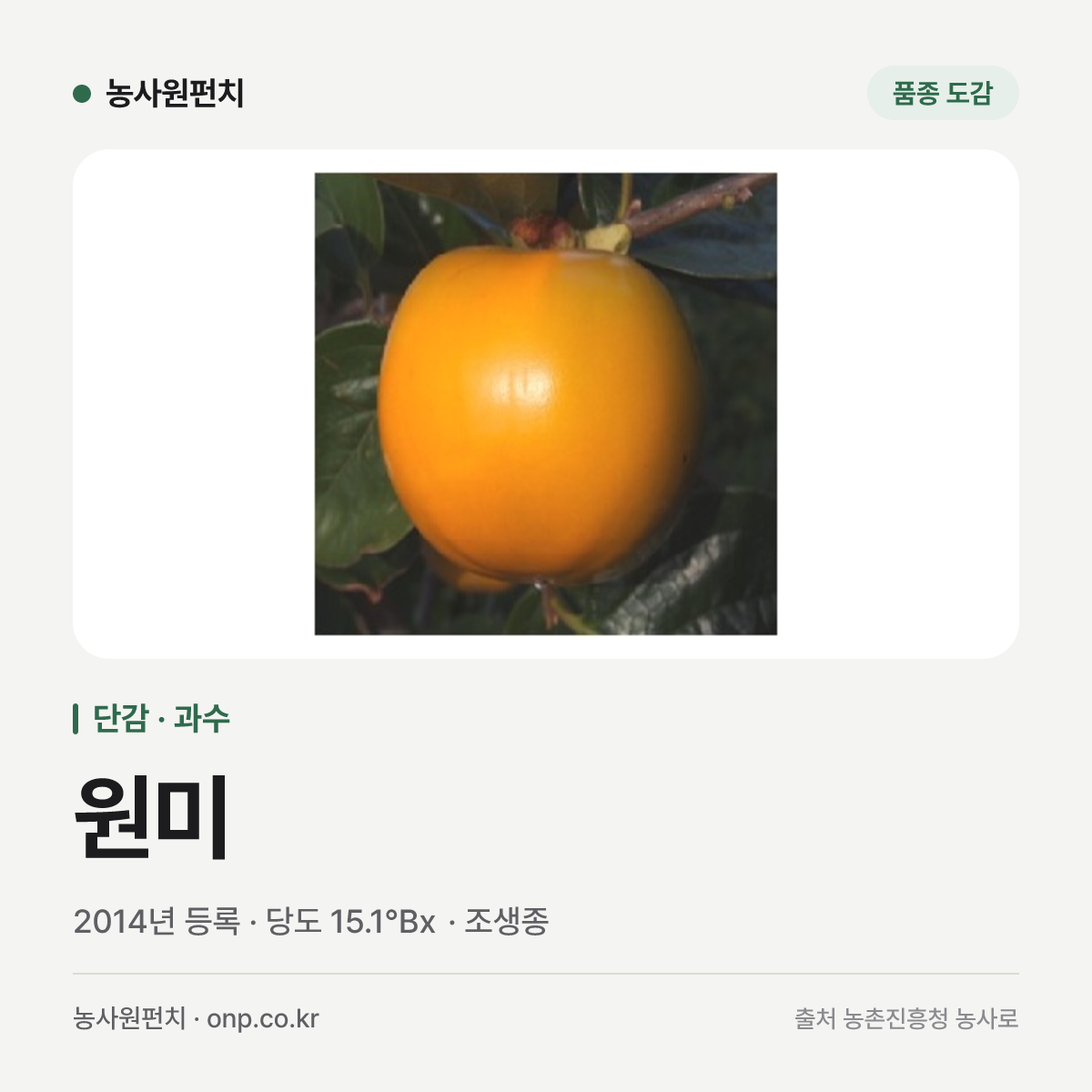 원미