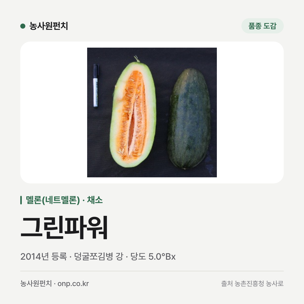 그린파워